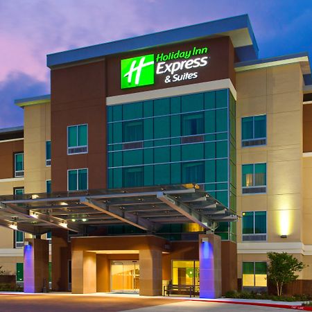 Holiday Inn Express & Suites Houston S - Medical Ctr Area, An Ihg Hotel מראה חיצוני תמונה